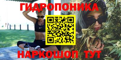 тгк Нальчик