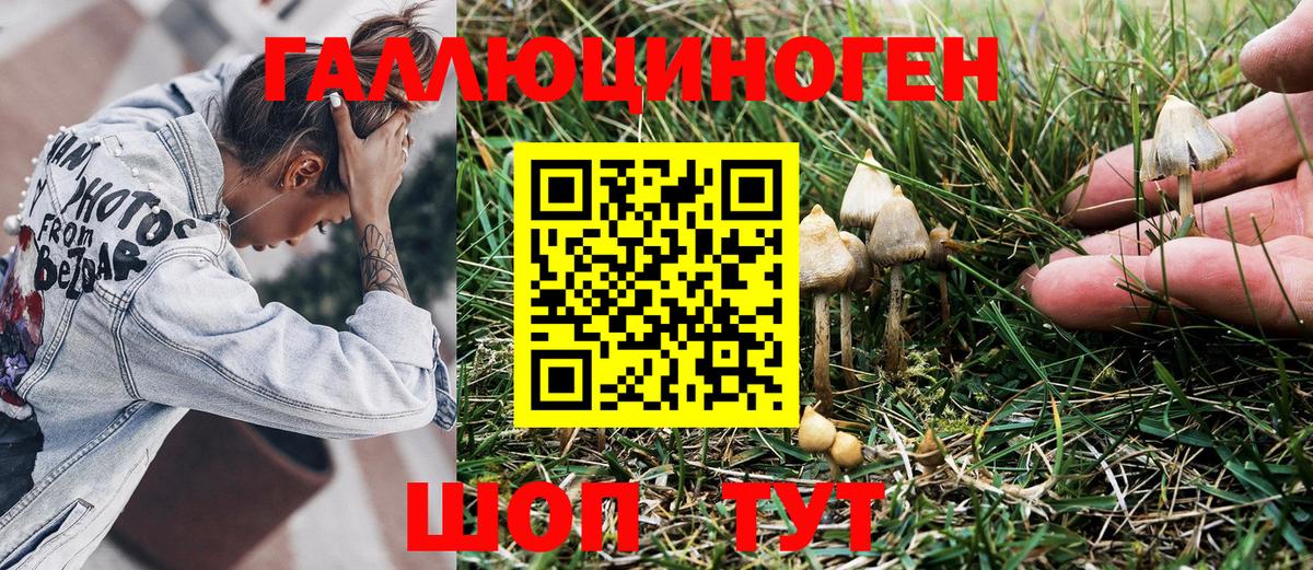 Находка  Галлюциногенные грибы Magic Shrooms  Вход с VPN 
